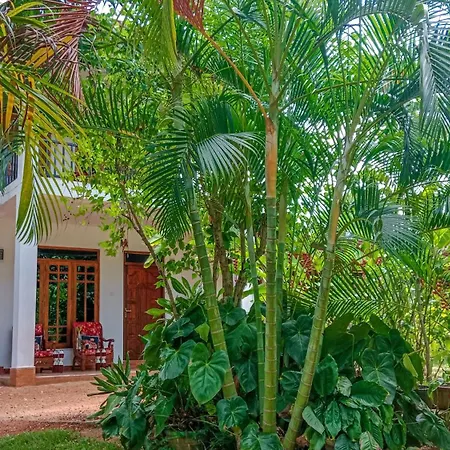 Gimhana Homestay Sigiriya Buitenkant foto