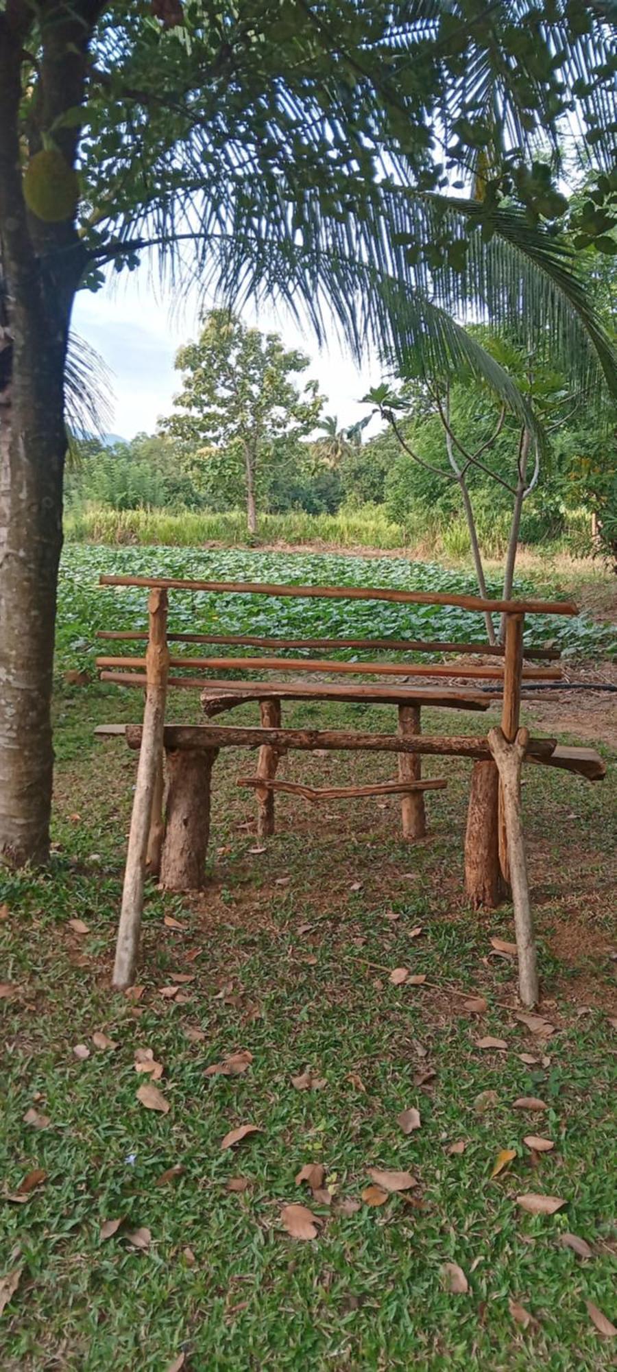 Gimhana Privatunterkunft Sigiriya